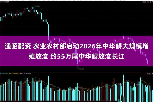 通昭配资 农业农村部启动2026年中华鲟大规模增殖放流 约55万尾中华鲟放流长江
